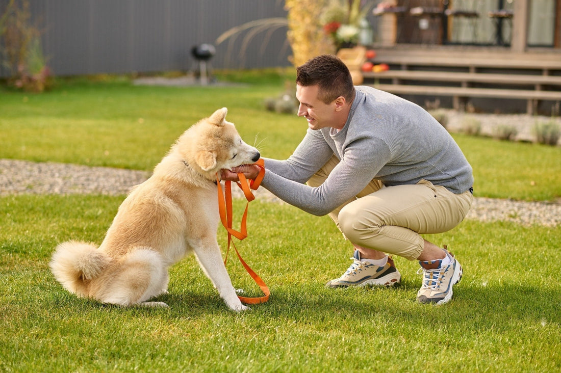 🐶 Best Ways to Potty Train Your Puppy at Home