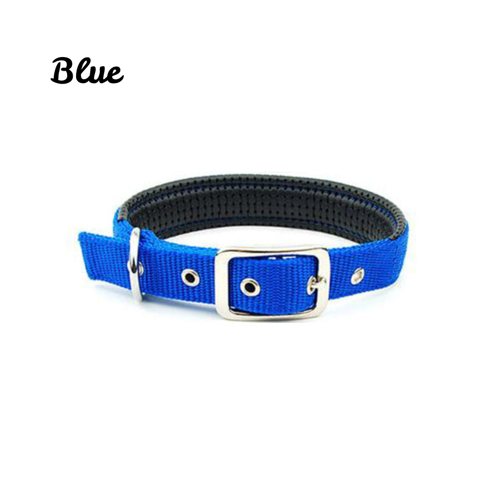GlowStride™ Adjustable Reflective Dog Collar