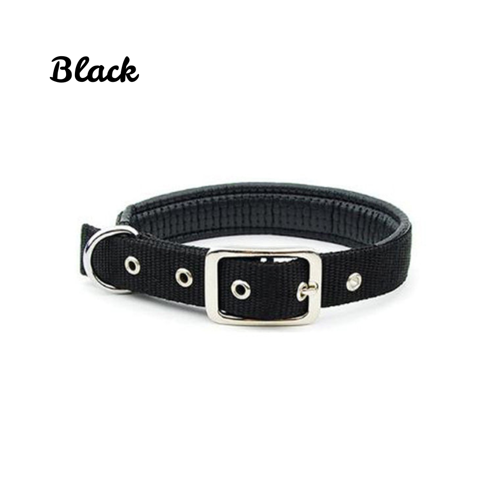 GlowStride™ Adjustable Reflective Dog Collar