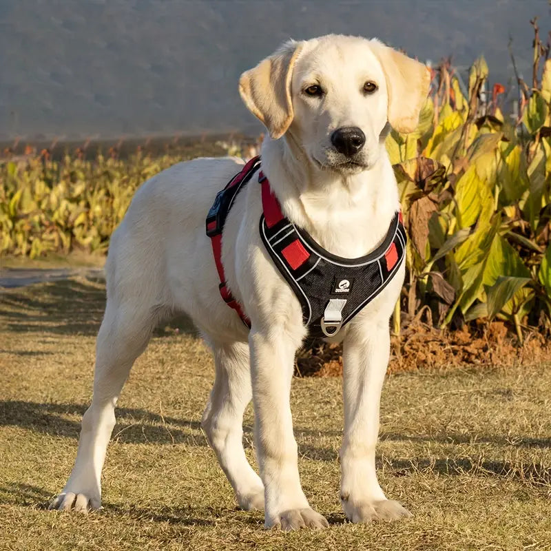 PawSecure™ Adjustable Dog Harness Vest