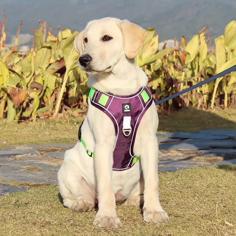 PawSecure™ Adjustable Dog Harness Vest
