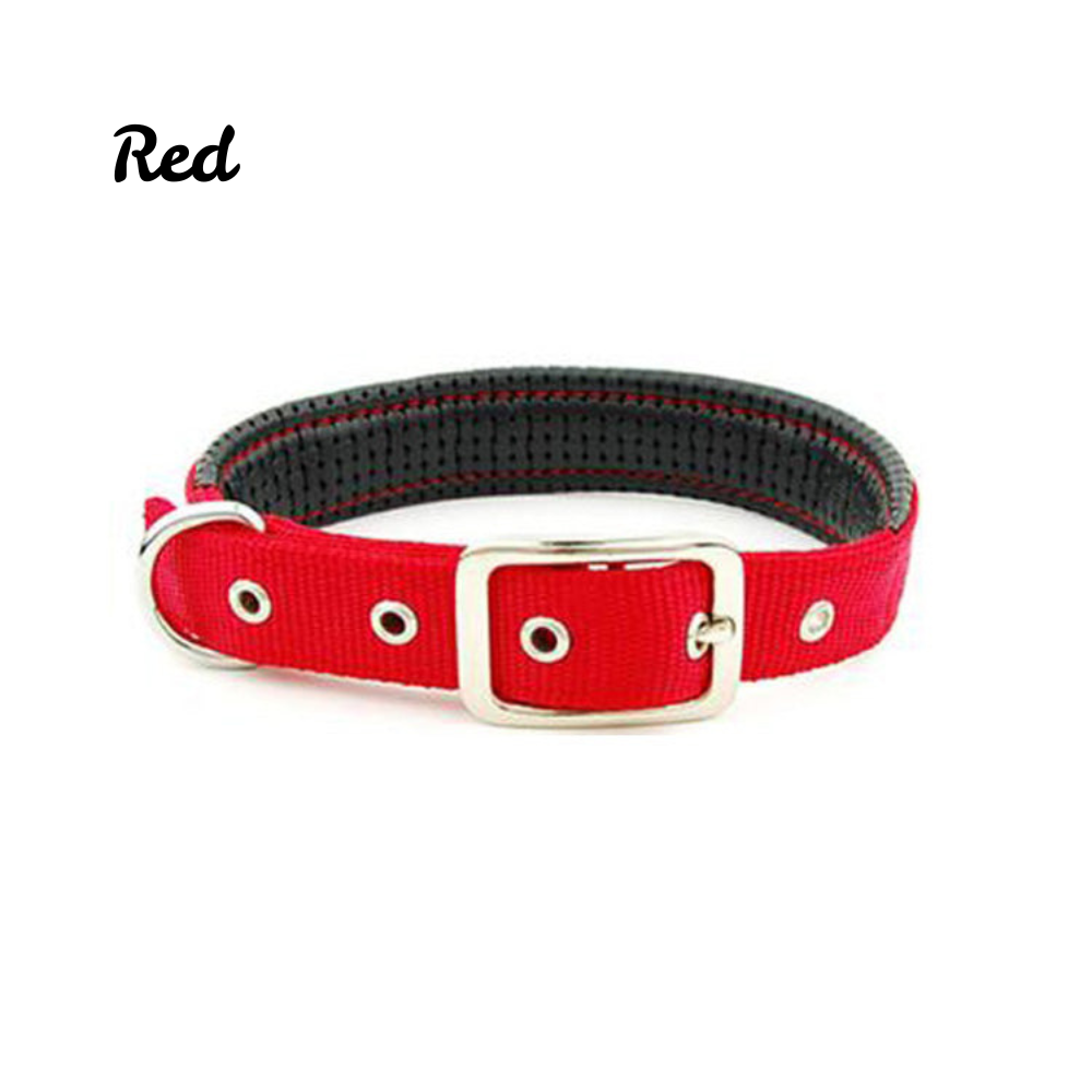 GlowStride™ Adjustable Reflective Dog Collar