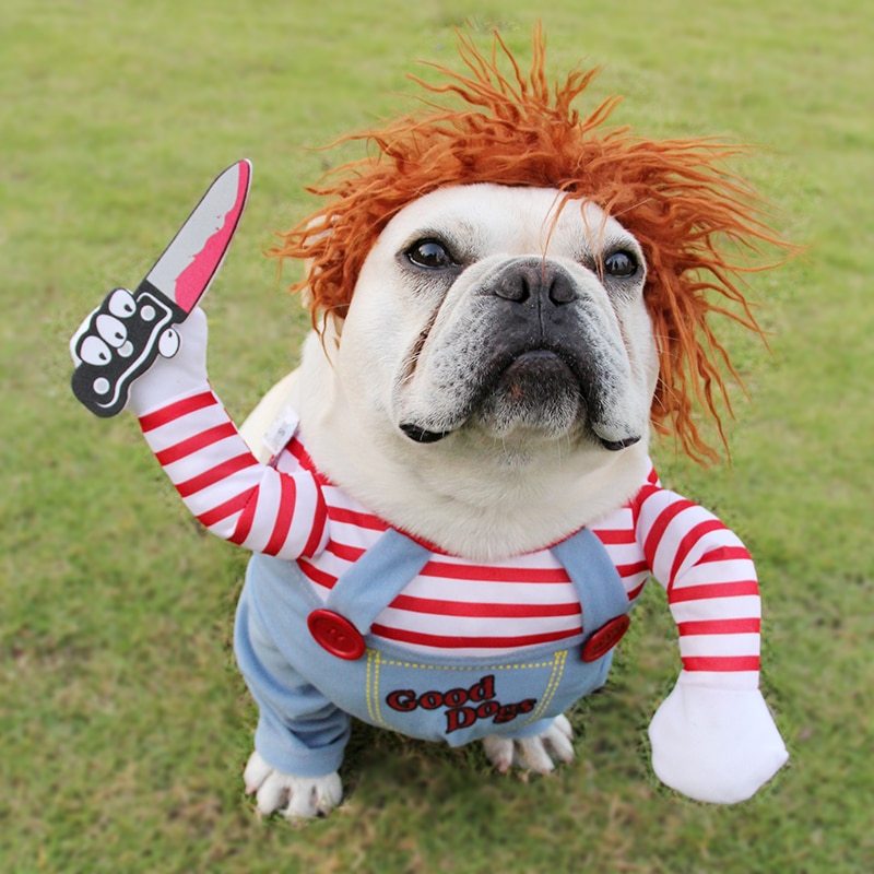 ChuckyPup™ Funny Halloween Dog Costume