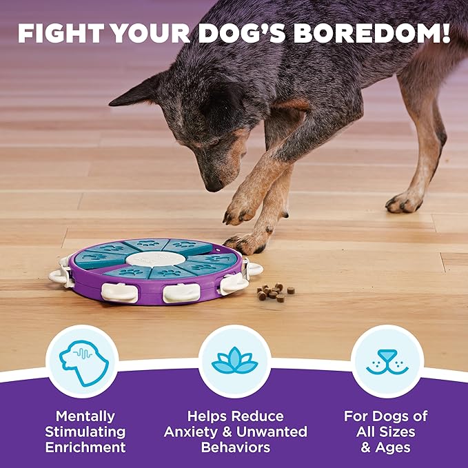 BrainyPaws™ Puzzle Feeder Toy