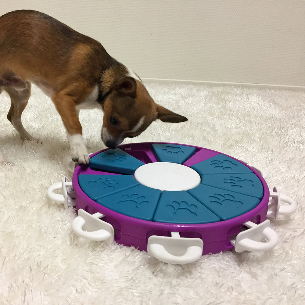 BrainyPaws™ Puzzle Feeder Toy