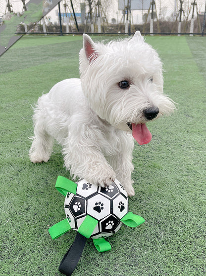 Lovely Paw Football Dog Toy-4