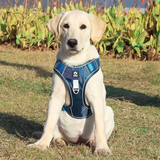 PawSecure™ Adjustable Dog Harness Vest