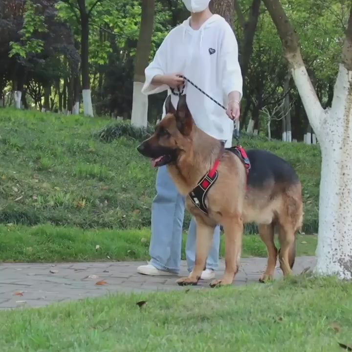 Load video: 